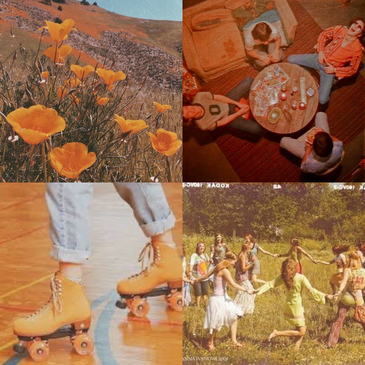 kcproblems's tweet photo. 🧡🌼✌️🏵🌞🧡 https://t.co/ezovZzp4MC