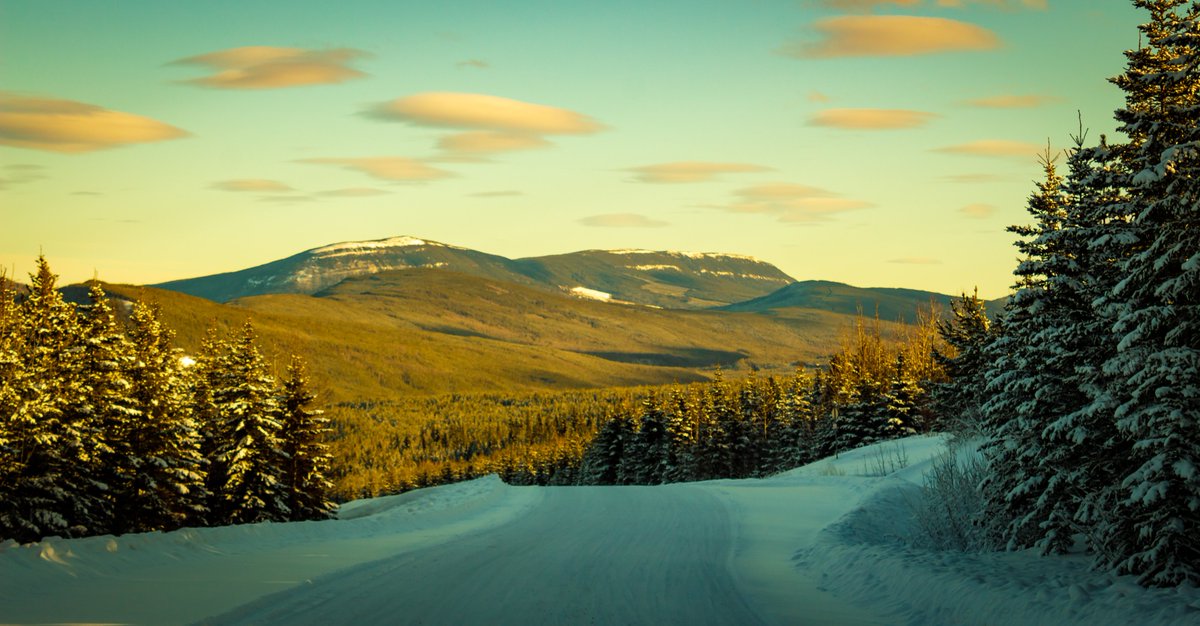 LittleFreeBirdA's tweet image. Went for a drive and ended up spending the day out here