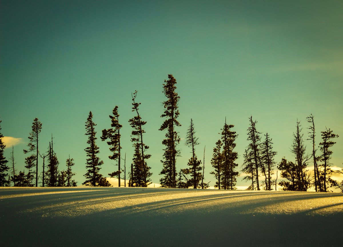 LittleFreeBirdA's tweet image. Went for a drive and ended up spending the day out here