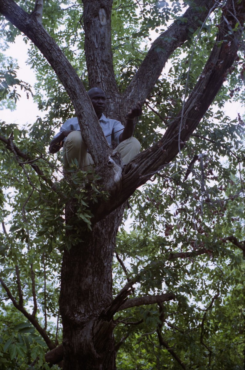 Will Aguado tweet media