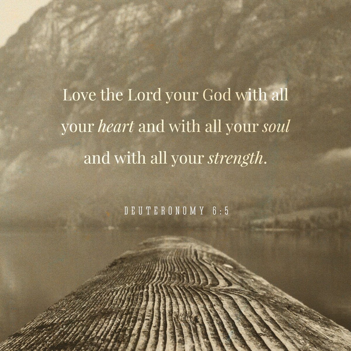 joshstelly's tweet photo. Love God with all that you are!  https://t.co/DpnCWVOQIg https://t.co/938mSUYSST