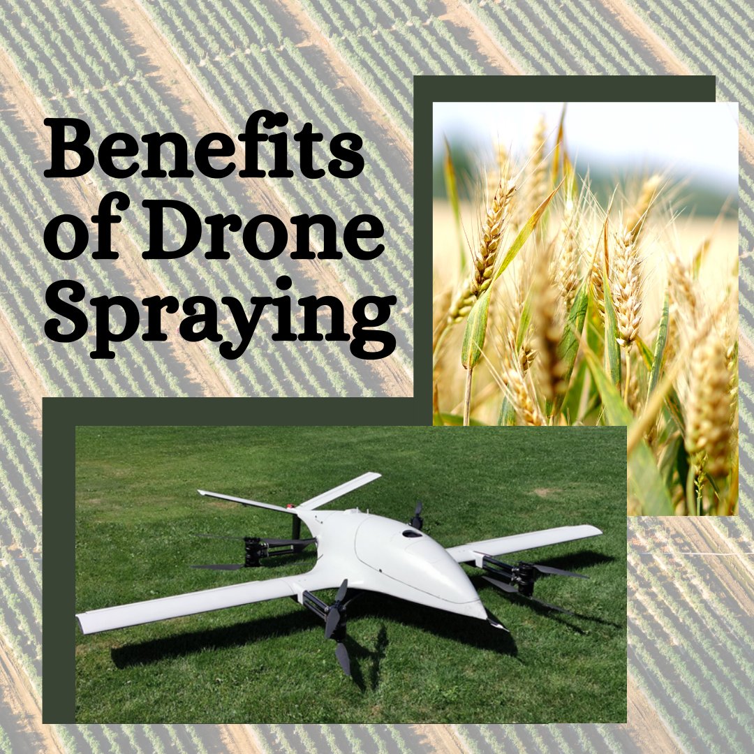 rogadrone's tweet photo. Check out the benefits of drone spraying
#RogaDrone #AerialApplication #aerial #dronespraying #drone #flight #spraying #pesticides #crop #canola #rapeseed #wheat #barley #flax #RyeGrass #oats #ag #agriculture #Canada #USA #Australia #drones https://t.co/HTOd2zPtIN
