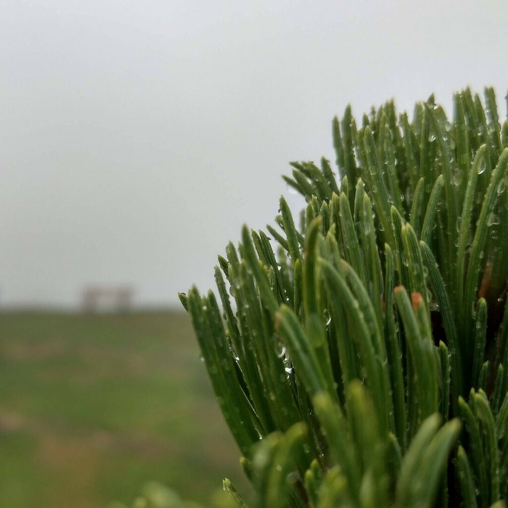 jaeger_d_berge's tweet photo. 🇩🇪 Ganz schön nass da draußen!
🇺🇸 Pretty wet out there!
↟
↟
#rainydays☔️
↟
#regen #rain #raindrops #instagrambyfairmeans #OBNBlogger #regentropfen #nature #naturephotography #naturelovers #naturelover #nature_perfection #natureaddict #trailrunning… https://t.co/U8bYWFZTgX https://t.co/WSqcjvHMBK