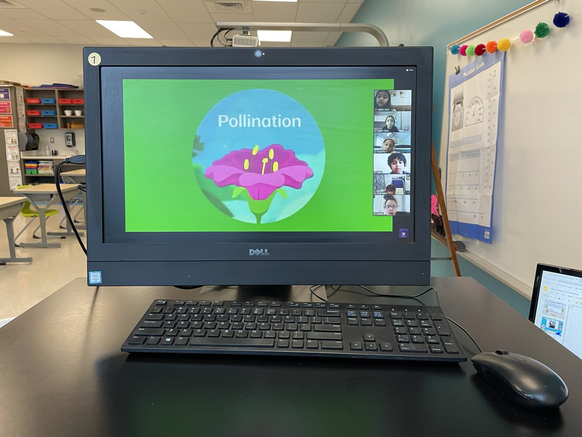 Field trips look a little bit different these days. Thank you <a href="/BartlettArbor/">Bartlett Arboretum</a> for an engaging and informative virtual field trip! We can’t wait for our next “trip” to the Bartlett Arboretum 🌹 <a href="/JWolfgruber/">Mrs. Wolfgruber</a>