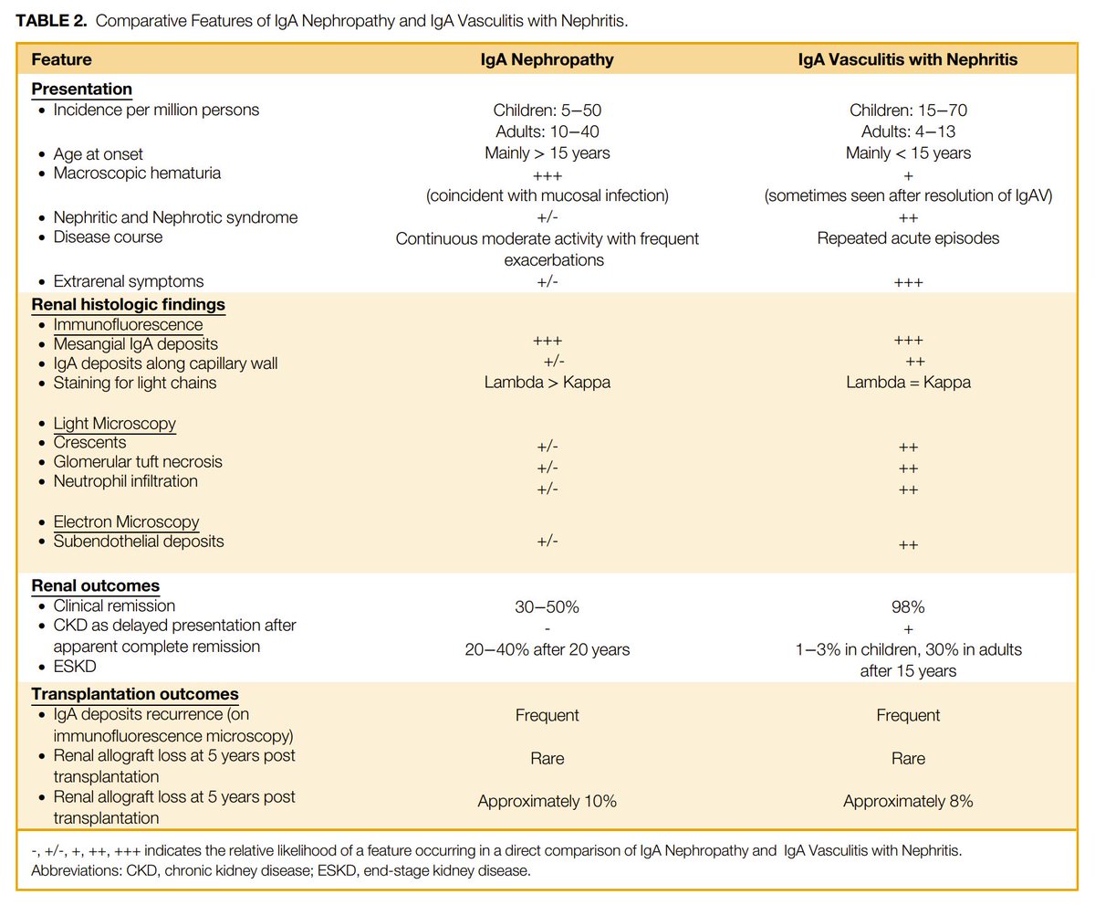 edgarvlermamd's tweet photo. IgA Nephropathy: Review ca. 2021 from @Nephronpower #Nephpearls 

📌 4-hit hypothesis
📌 IgA Nephropathy vs IgA Vasculitis with nephritis

👉 https://t.co/OOw8ZAJqPP https://t.co/YKadVOTrvP