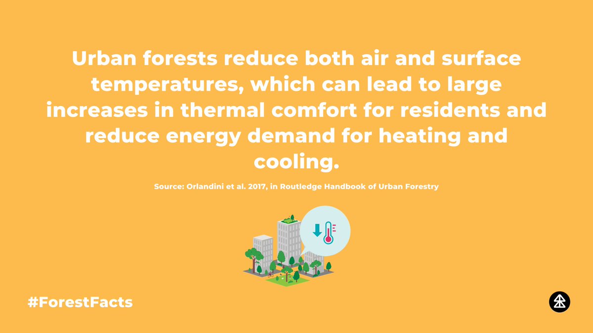 #ForestFacts: Urban #forests reduce both air and surface temperatures, reducing the #energy demand for heating and cooling.

We need more #trees in our #cities! 

#DYK #Forest #Forests #SustainableCities #Nature #Sustainability #ClimateAction #FridayVibes #Environment