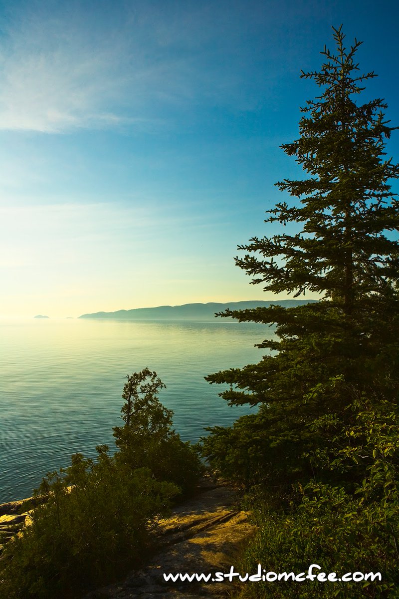 Studio McFee tweet media