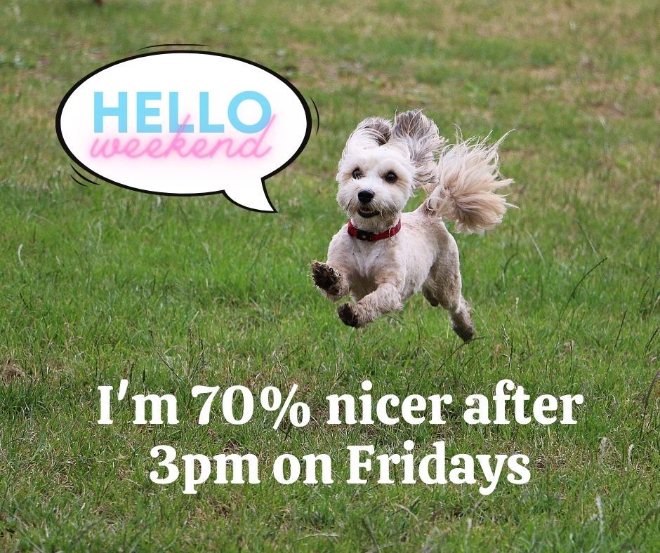SolEstAccounts's tweet photo. Very true for me as I normally finish at 3pm on #Friday!
Pat is here for the rest of the afternoon to answer any queries, and you can drop us a message via any of our social media channels or websites.
Have a great #weekend 💃 https://t.co/L3jufWx9mO