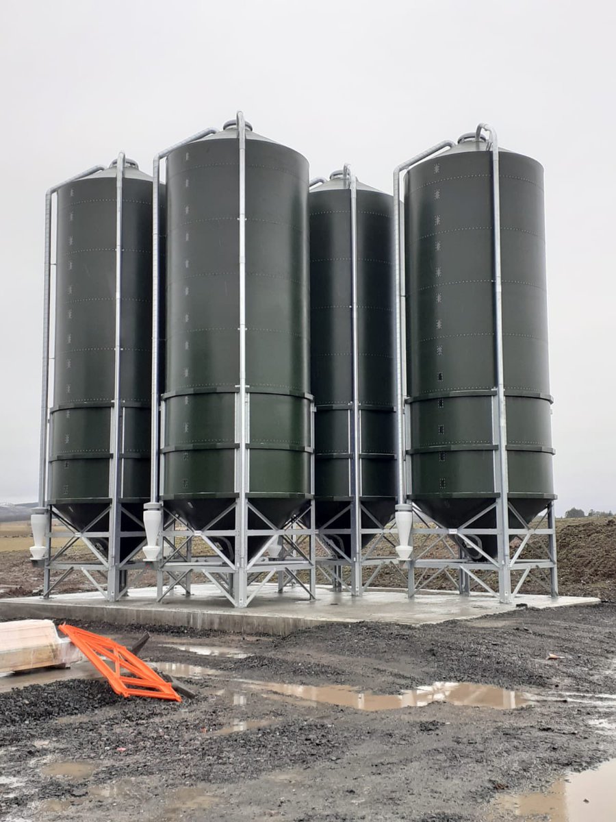 CollinsonAgri's tweet photo. Between these 5 silos there is a total capacity of a whopping 250 tonnes!
Each silo will store a different raw material which will then be discharged, as required per ration, into a Tropper for on site mill n mixing.
#MillnMix #Silos #BuiltToLast https://t.co/OJjumHJ7rE