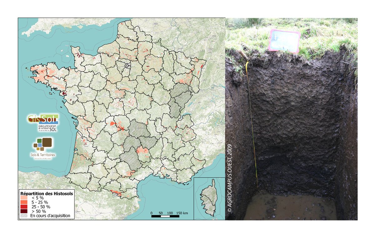 Le 2 février, c'était la journée des zones humides alors ce mois-ci le #SolDuMois est : les HISTOSOLS. #sols de tourbe engorgés en permanence. Pour en savoir plus : geoportail.gouv.fr/donnees/carte-…