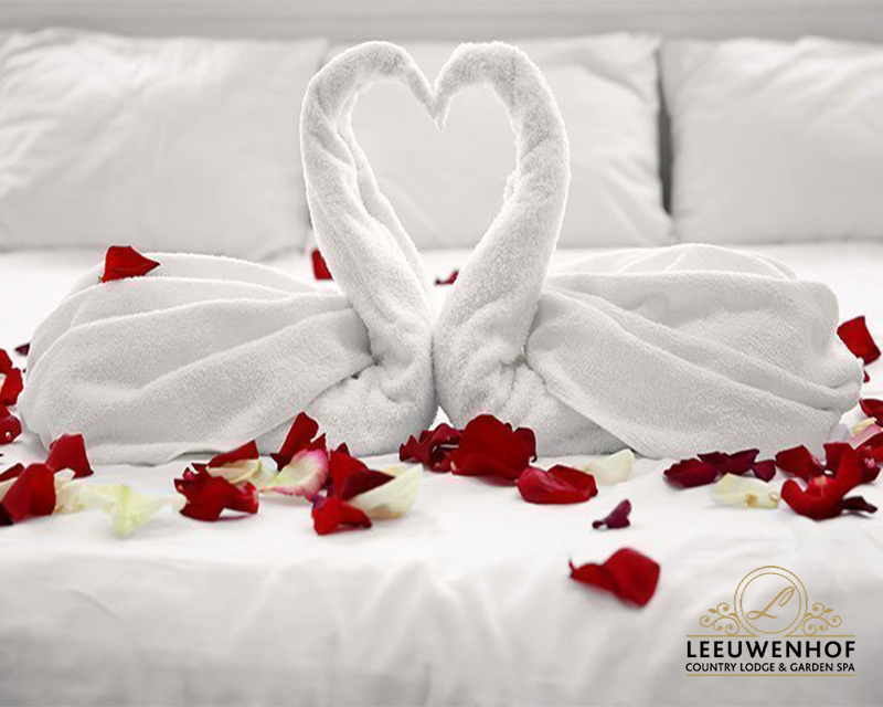 Book our Valentine's Special any day, any time for the entire month of love!🌹

Book Now!
WhatsApp: 062 117 8878
Call: 014 717 9811

#leeuwenhofcountrylodgeandgardenspa #valentinesday #love