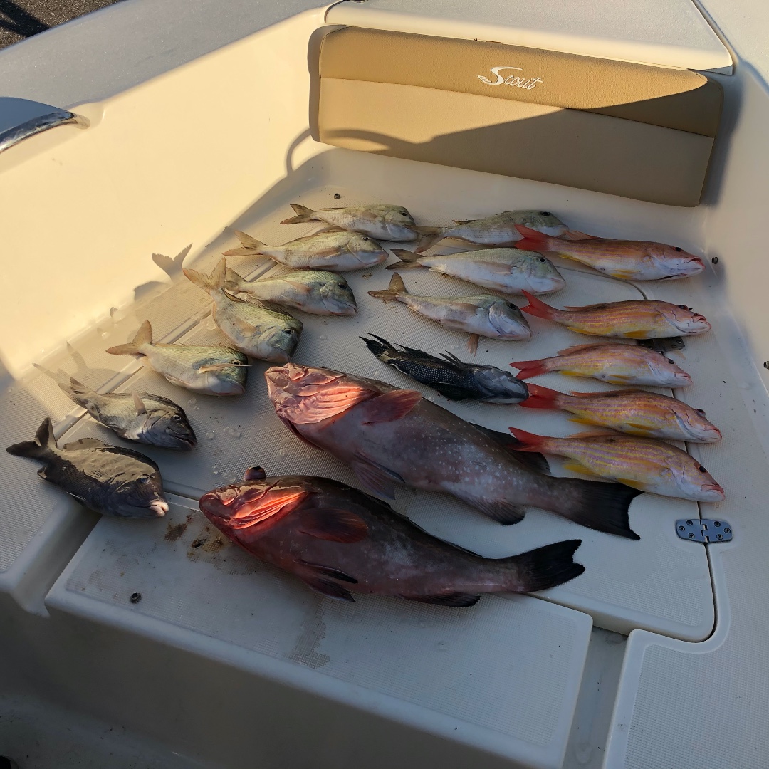KempOutside's tweet photo. Happy #FishingFriday everyone. Yesterday I went offshore with my friends at Fish Huge Apparel and had an absolute blast! Be sure to follow us on Instagram for more pics from the trip! #FishHuge #KempOutside https://t.co/t9LZqkWGR0