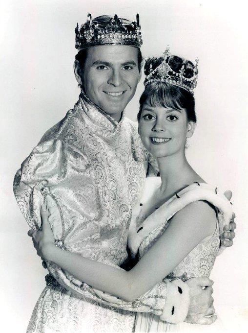 Happy 84th Birthday, Stuart Damon!
Cinderella\s Prince Charming 