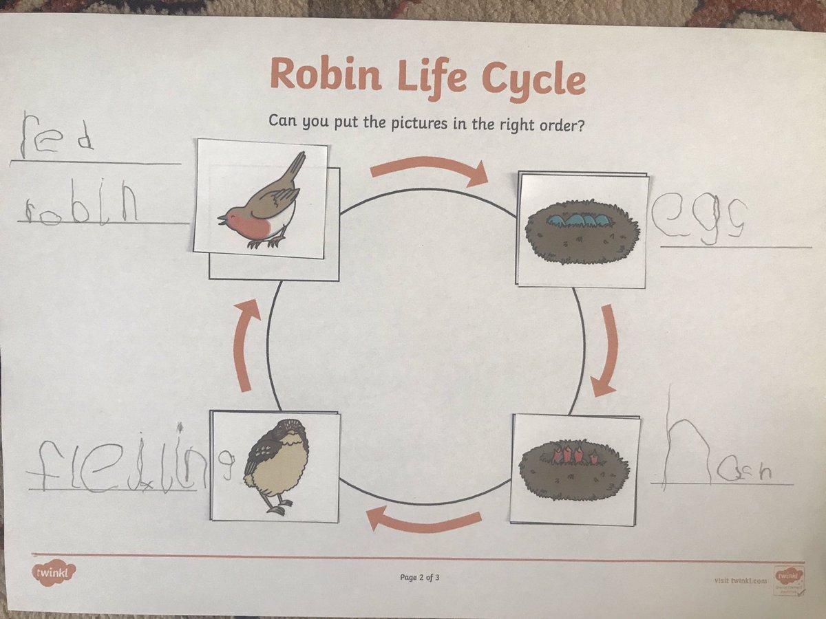 HTAClassF1's tweet photo. Another lovely bird week here in The Woodlands with such super work, both in school and at home. Have a look at what we have been up to... https://t.co/3nIfRFnarw