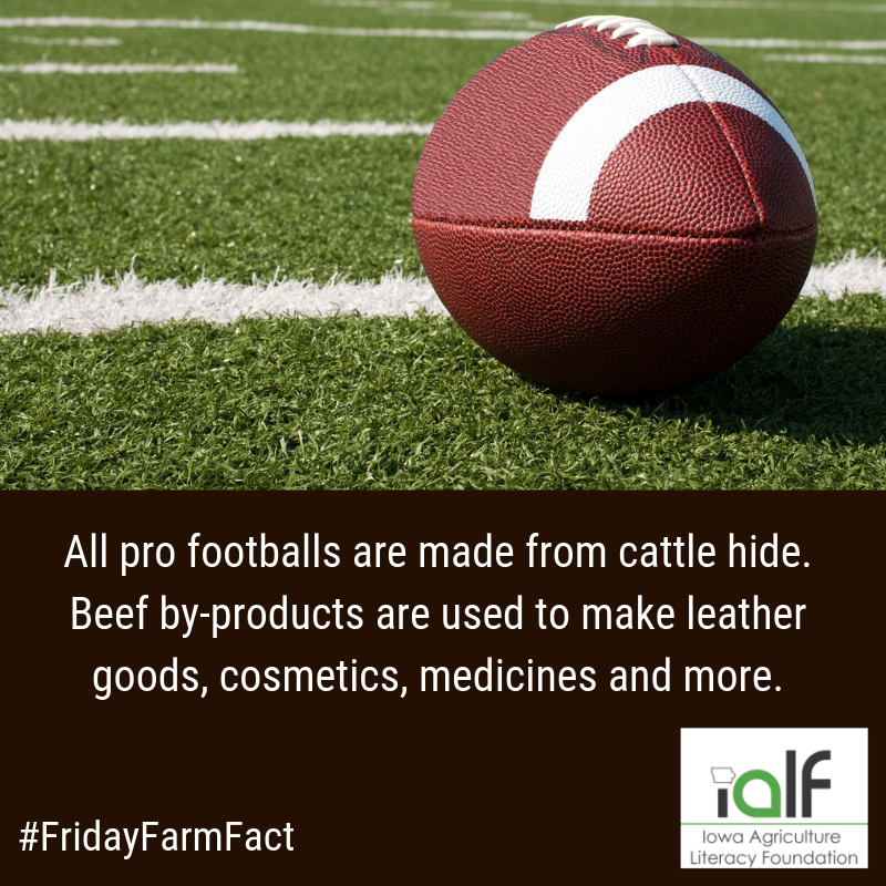#FridayFarmFact