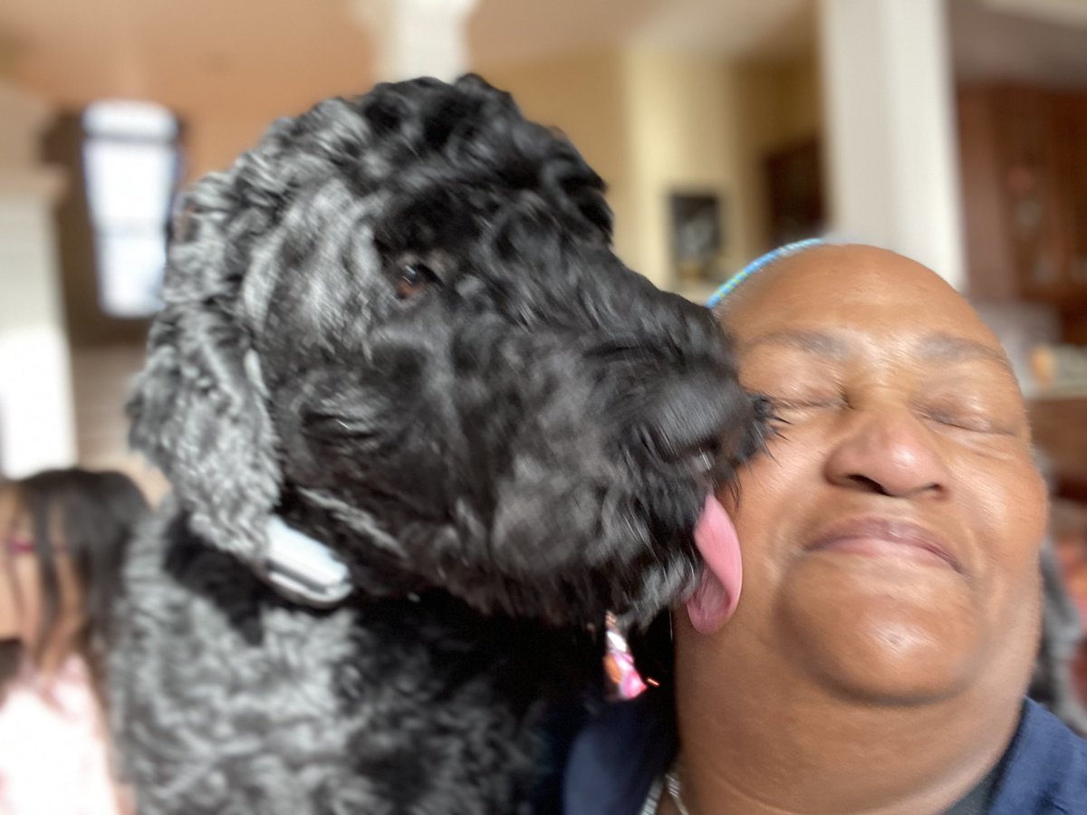 SObrienPhoto's tweet photo. @RobinMeade G’morning, Robin. My at-home posse and I send you HUGE HUGS &amp; FUZZY KISSES (from the dogs). Your sunshine☀️ seems a bit low today. We pray what has you sad gets better soon. For now, we send you some of ours ☀️💚 https://t.co/im7f865VSD