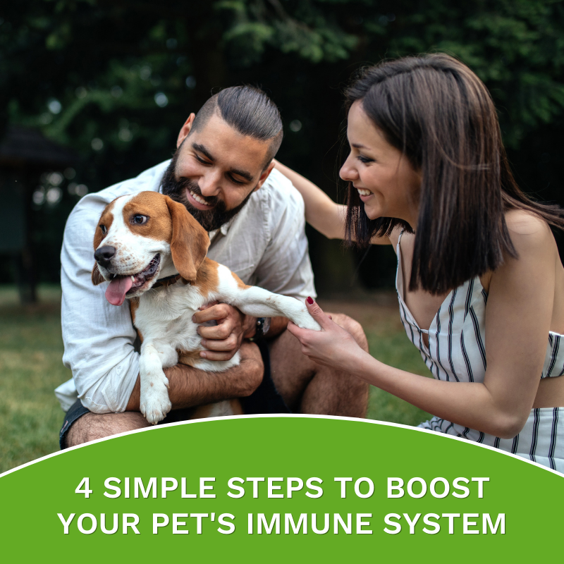The key to a healthy dog is not to keep him locked up at home, but to keep his immune system in top shape so he can quickly and effectively fight disease when it strikes. 🤗

✔️ Keep your pup clean
✔️ Keep their weight under control
✔️ Give them a diet full of nutrients