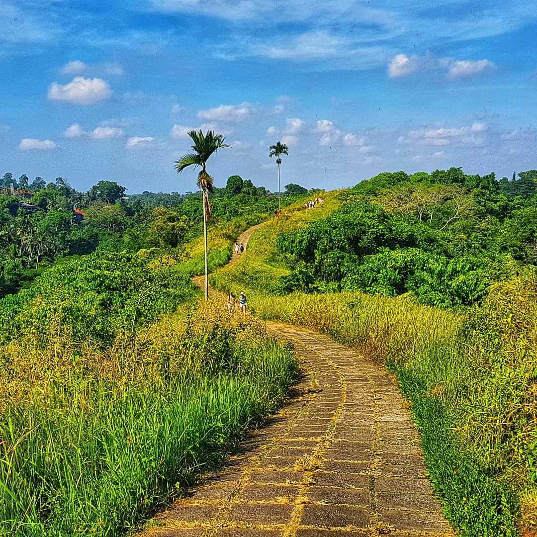 travelexx's tweet photo. Share a photo of a PATH, TRAIL or ROAD that is memorable to you. Could be from your favourite roadtrip or just something close to your own home. I loved strolling along Campuhan Ridge Walk in Ubud, Bali! #FridayFeeling https://t.co/zGsJVBiqIC