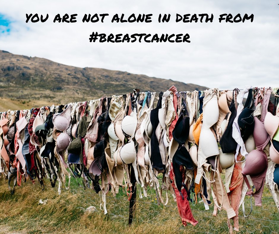 goodgriefapp's tweet photo. Breast cancer has seized too many lives. #youarenotalone
#breastcancer #cancer #cancersucks
#fightingthebattle #together #supporteachother #beatingtheodds #notachoice #chemosucks #radiationsucks #breastreconstruction #support #understanding #community #grief #loss https://t.co/joXRgH5A0m