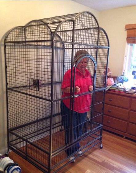 HytaleGuide's tweet image. i've had enough, not letting my nan out of the cage until the game comes out 😤