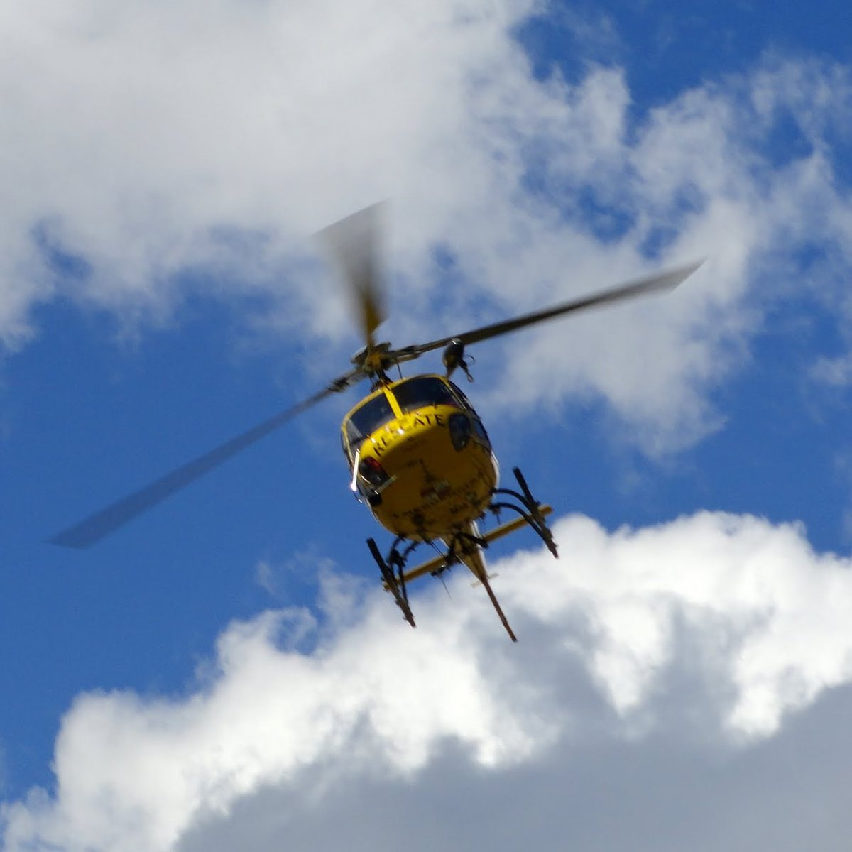 Emilio Rodriguez tweet media