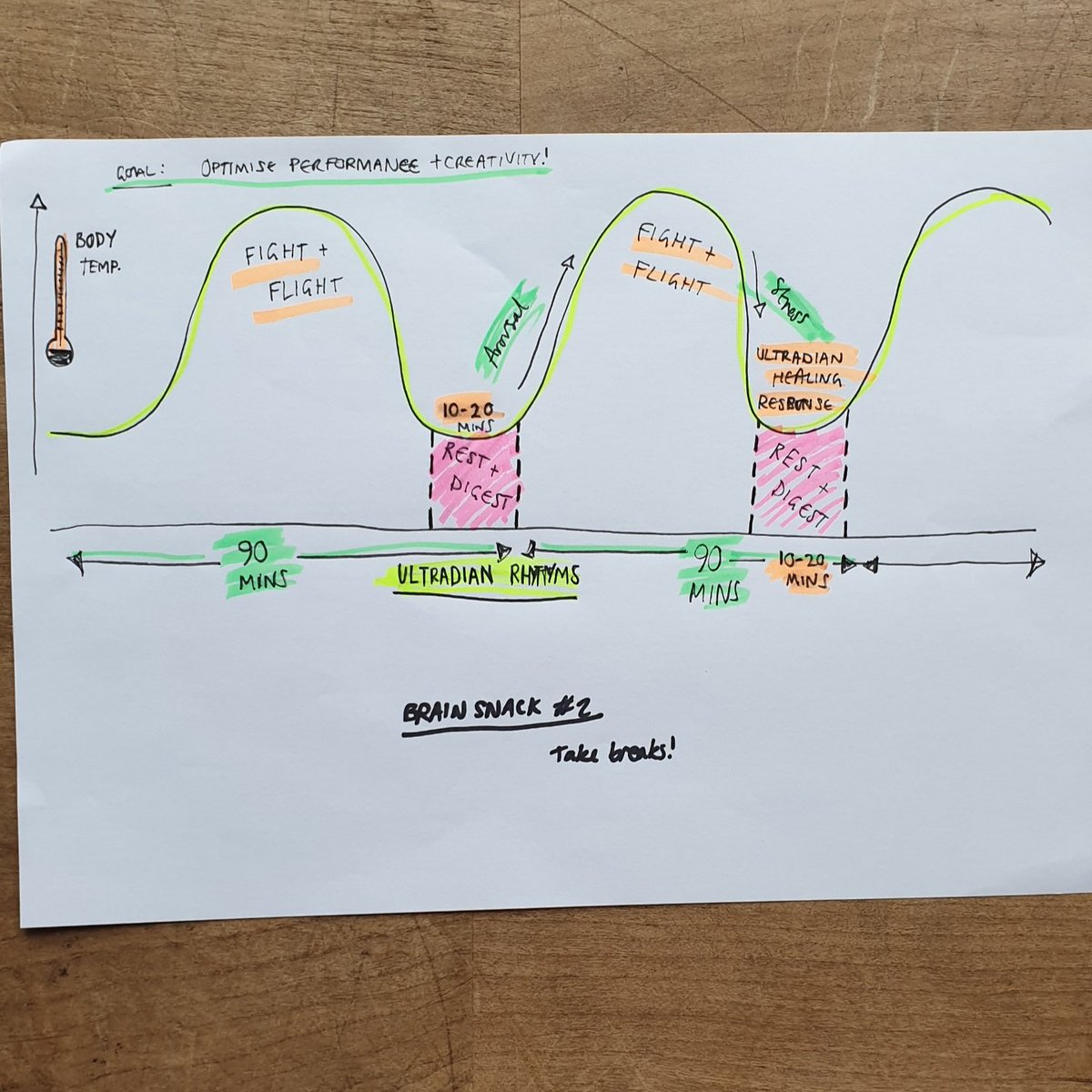 braingainsco's tweet photo. @bryony_gordon Something that works for me is to schedule alarms to block time for emails, as flicking between tasks is cognitively exhausting. I.E. 30min writing, 30mins email, 20 min break etc♻️. Was teaching this to my work team today (re pic!) as we run optimally in these 90-min cycles!😁🧠 https://t.co/epf6FSz2yh