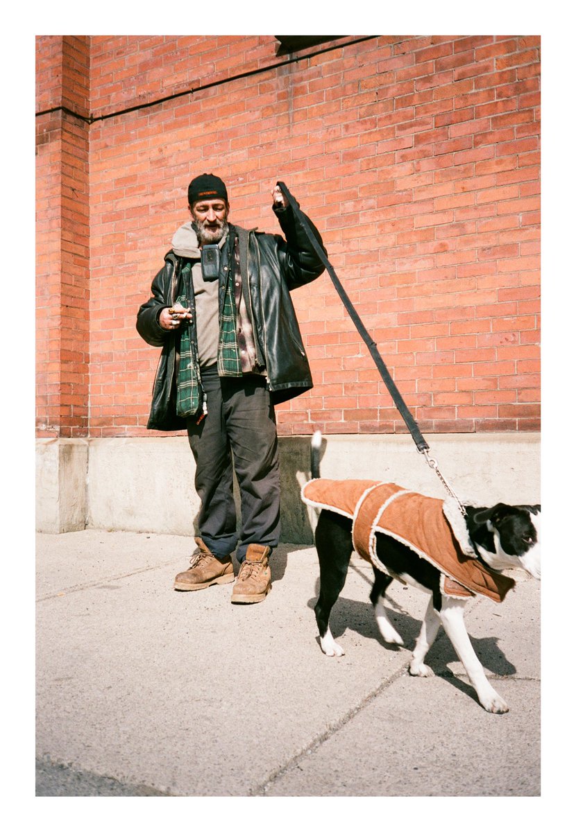 serafinaadia's tweet photo. Unpredictable 🐶 / Street / 2020-21 
📸Olympus MJU I / Pen F (Half-Frame)
🎞 Kodak Gold 200 / Fuji Superia 200 @ 100 https://t.co/1qrTcippLa