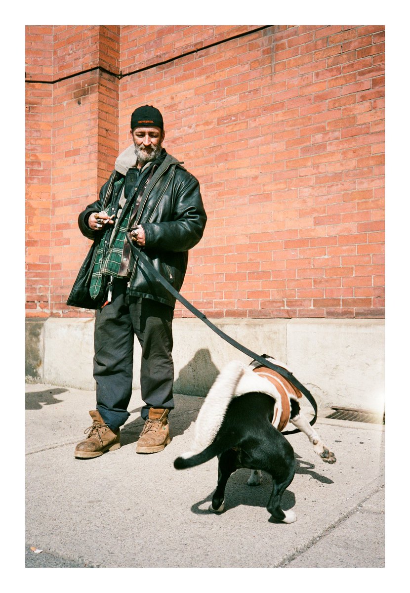 serafinaadia's tweet photo. Unpredictable 🐶 / Street / 2020-21 
📸Olympus MJU I / Pen F (Half-Frame)
🎞 Kodak Gold 200 / Fuji Superia 200 @ 100 https://t.co/1qrTcippLa