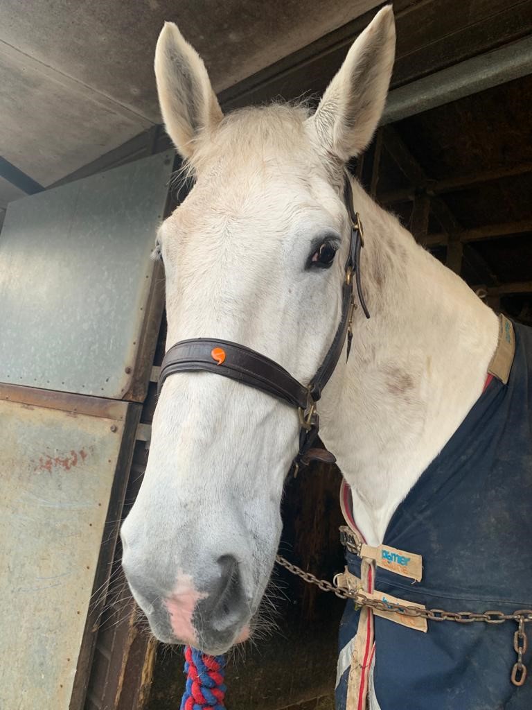 Heddlu De Cymru tweet media