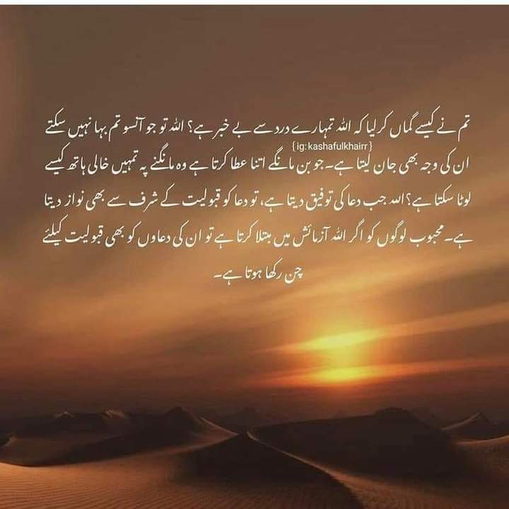 SadeeqaTayyaba's tweet photo. Beshuk ❤️ https://t.co/DNZ1E7MNx6