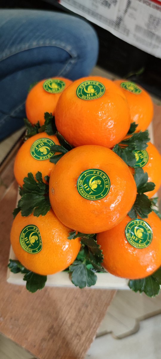 Nuj53886874's tweet photo. 🍊ส้มแมนดารินไต้หวัน
หวาน ฉ่ำ อร่อยมากคะ
😁พร้อมส่งฟรีkerryทั่วไทย
ลังละ 7 โล
จำนวน 38-42 ลูก
✅ราคา 700 บาท
#ร้านIamfruits #iamfruits
#ตรุษจีน 
มีผลไม้ต่างประเทศมากมาย
#ส้ม #แอปเปิ้ล #สตอเบอรี่ #สาลี่ #เชอรี่ #บลูเบอรี่ #พลับ #องุ่น #ตลาด #สี่มุมเมือง #ผลไม้
☎/ Line 0635962428 https://t.co/nNVVj23wLO