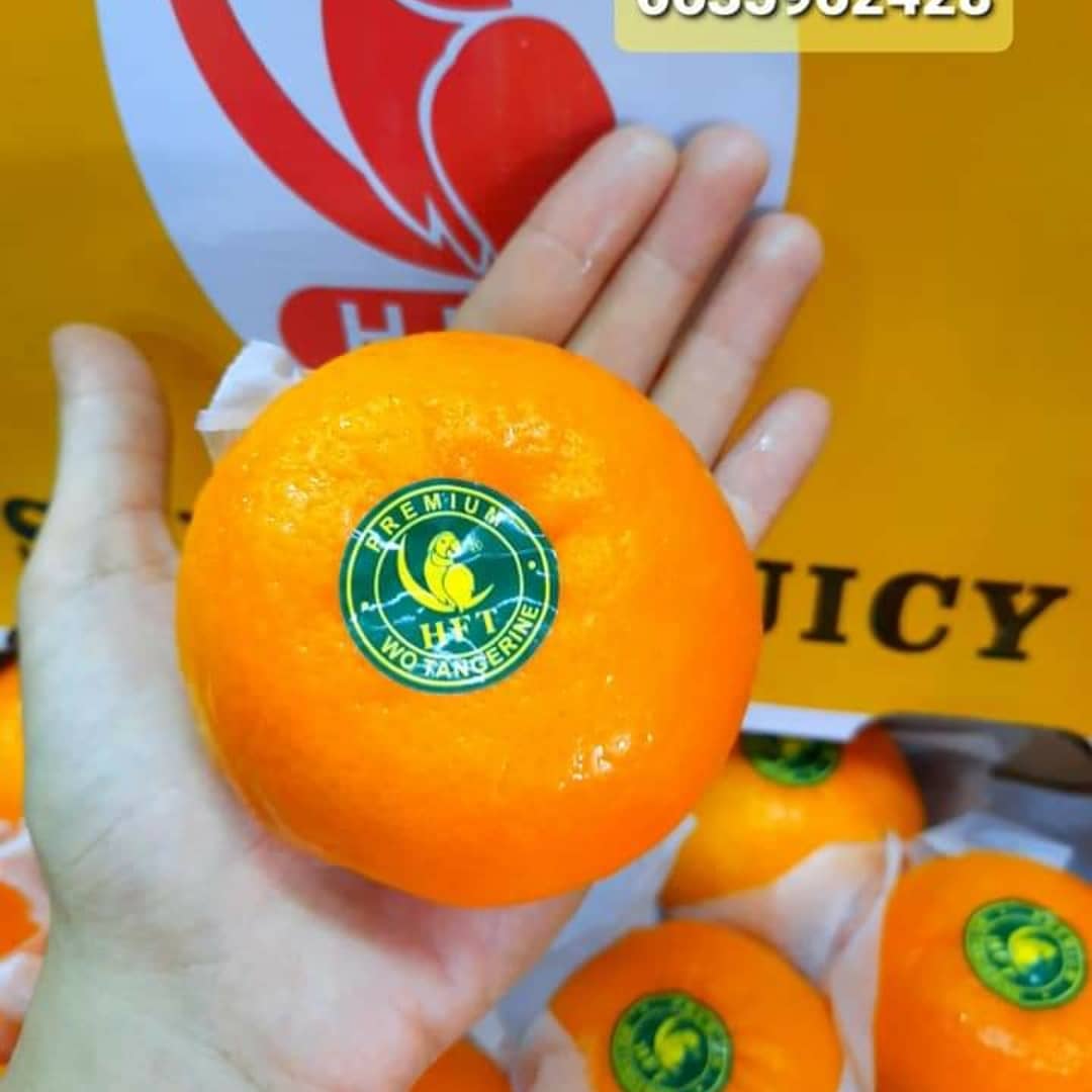 Nuj53886874's tweet photo. 🍊ส้มแมนดารินไต้หวัน
หวาน ฉ่ำ อร่อยมากคะ
😁พร้อมส่งฟรีkerryทั่วไทย
ลังละ 7 โล
จำนวน 38-42 ลูก
✅ราคา 700 บาท
#ร้านIamfruits #iamfruits
#ตรุษจีน 
มีผลไม้ต่างประเทศมากมาย
#ส้ม #แอปเปิ้ล #สตอเบอรี่ #สาลี่ #เชอรี่ #บลูเบอรี่ #พลับ #องุ่น #ตลาด #สี่มุมเมือง #ผลไม้
☎/ Line 0635962428 https://t.co/nNVVj23wLO