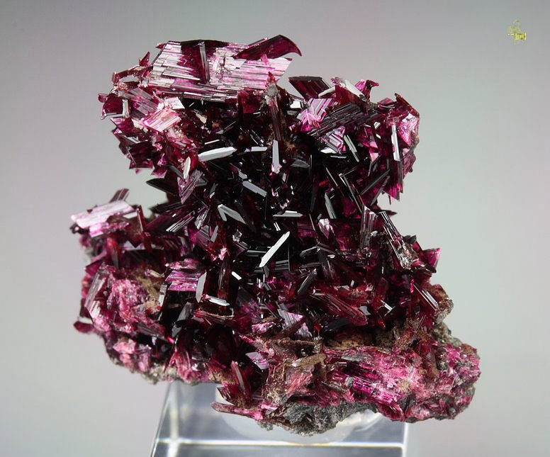 Superb deep violet-purple Erythrite crystals from Bou Azer, , Tazenakht, Ouarzazate Province, Morocco

Credit: Quebul Fine Minerals

#minerals #crystals