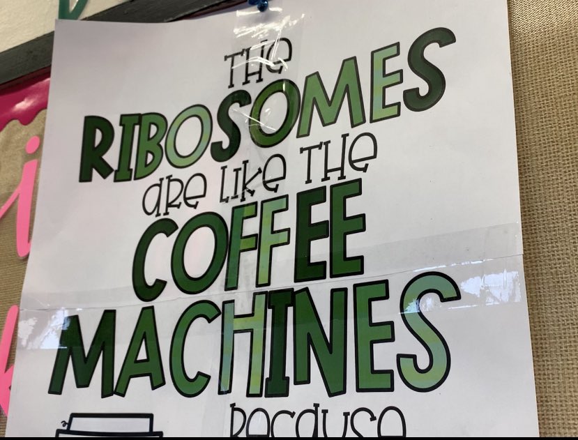 EJHsoars's tweet photo. Ms. Babin helps students identify cell structures with inspiration from Starbucks. https://t.co/HEwhTQDCa6