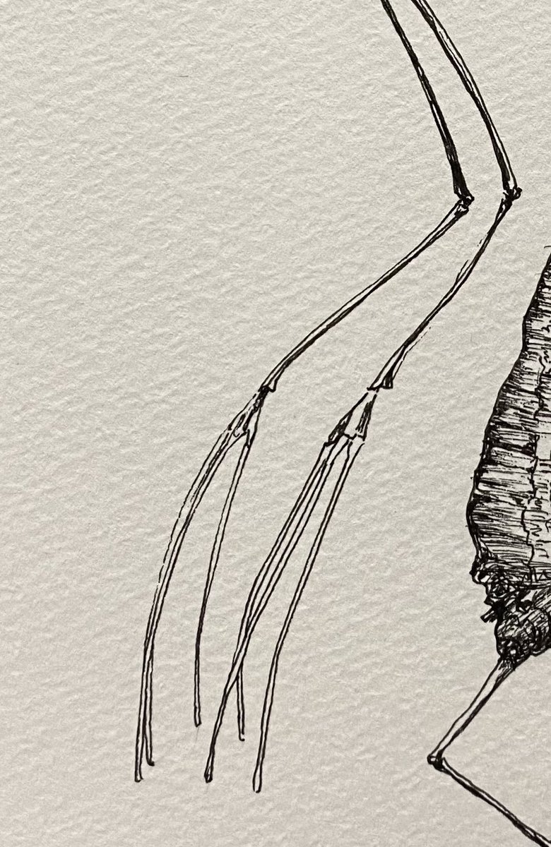 #このタグを見た人は自分の絵柄の手部分を見せる 