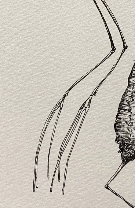 #このタグを見た人は自分の絵柄の手部分を見せる 