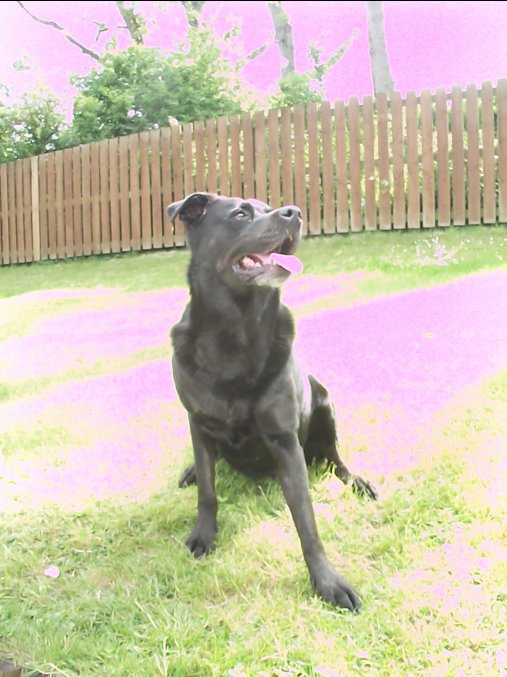 IGCeltic tweet media