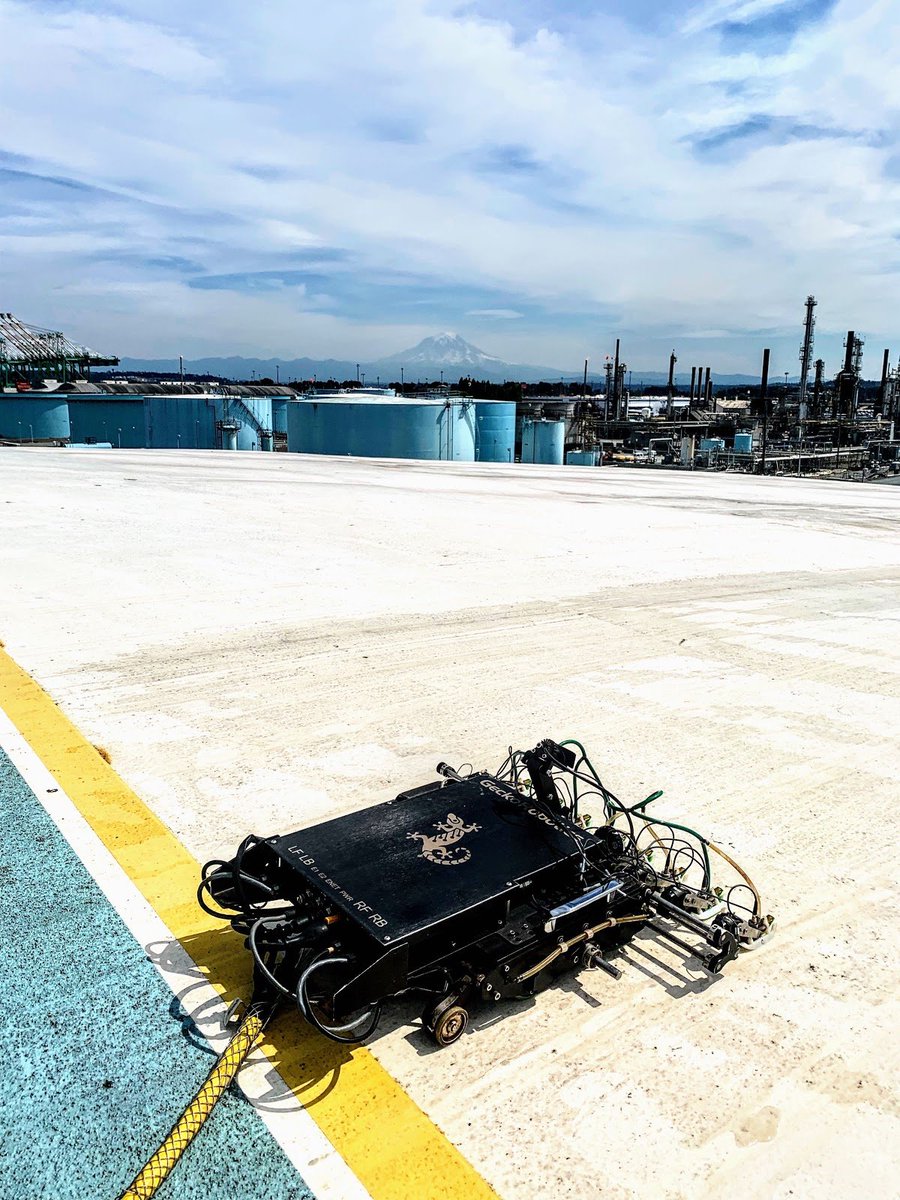 geckorobotics's tweet photo. Check out that robot-- I mean, view! 🏔️

A throwback #GeckoSnapshot of TOKA featuring Mt. Rainer! 

#Washington #MtRainer #robots #robotics #industrialautomation #technology https://t.co/QtLZ9NFtYN