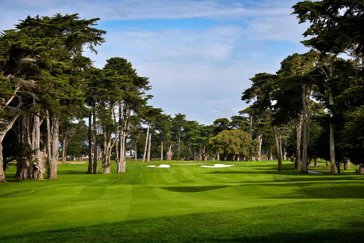 Stripe it! 🏌️

#PGAChamp