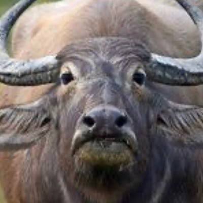 บีมกับน้องๆ (@yayee2548) on Twitter photo 