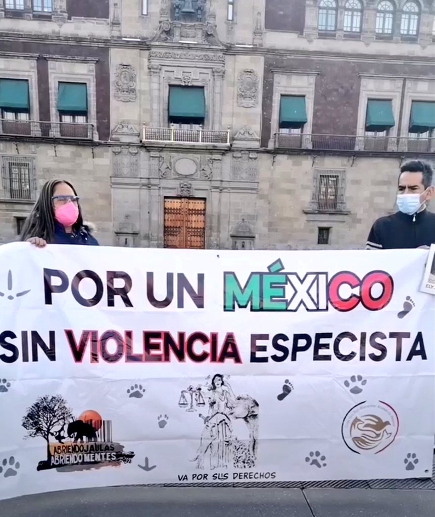 ProColectivo's tweet photo. Desde diferentes estados de la República  le pedimos Sr. Presidente @lopezobrador_ una consulta ciudadana.

#LaEducacionEsLaSolucion
@Claudiashein 
@delfinagomeza
@SEP_mx 
@UNICEFMexico https://t.co/hxQ2ON0nFp