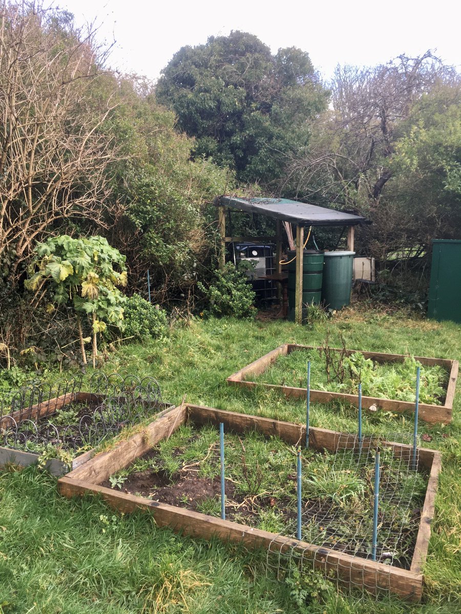 FoodLewes's tweet photo. Splendid (socially distanced) walk around Peacehaven yesterday, which included a visit to their #communitygarden! In need of some #TLC but totally idyllic - let's hope some seeds can be sown this spring 🍅🥬🥕

Thank you for showing me around @PeacehavenTown 🌿🌷 https://t.co/ljknGmVBGi