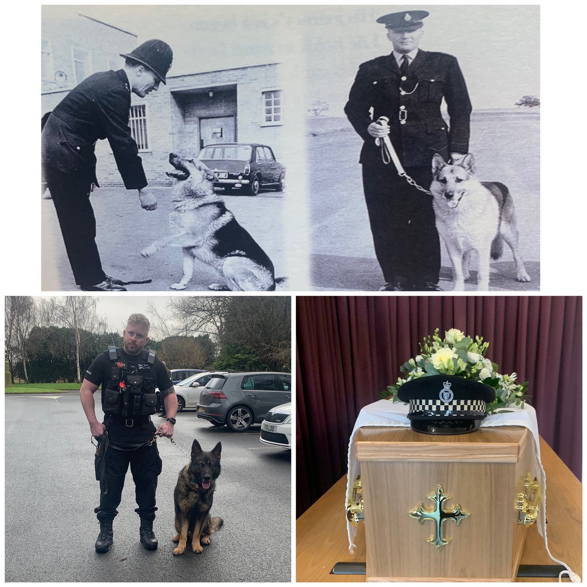 abbielouise90's tweet photo. My 94yr old grandad couldn’t have a human guard of honour at his funeral today but as one of @WMerciaPolice first &amp; top dog handlers, he was given a 4 legged one. Him &amp; his dog Brutus even helped train the SAS back when he served. We were so proud of him. Thanks to Andy &amp; Jax 🖤 https://t.co/ib8JZK3H9J
