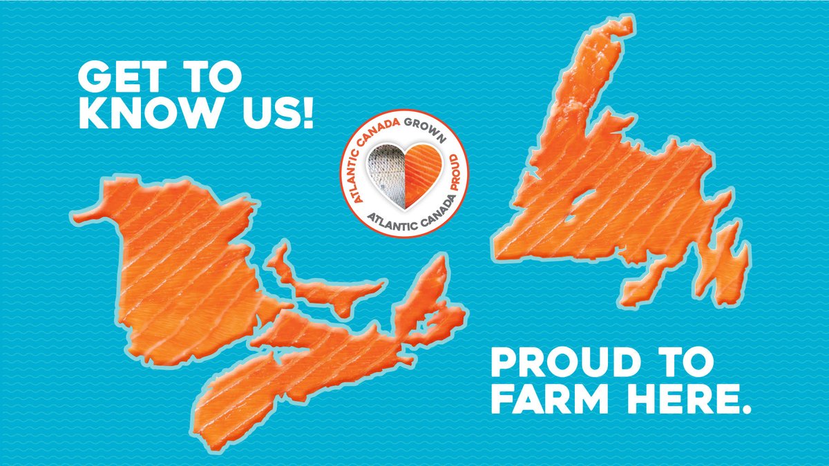 AtlFishFarmers's tweet photo. Check out our new interactive map about all things salmon farming in Atlantic Canada! #BetchaDidntKnow #ProudtoFarmHere #GetToKnowUs #AtlanticSalmon 
https://t.co/OBNTKUDnVE @CDNaquaculture @NAIA_NL @SeaFarmers @BernJordanMP @MPWayneLong https://t.co/BBo3tg6aUY