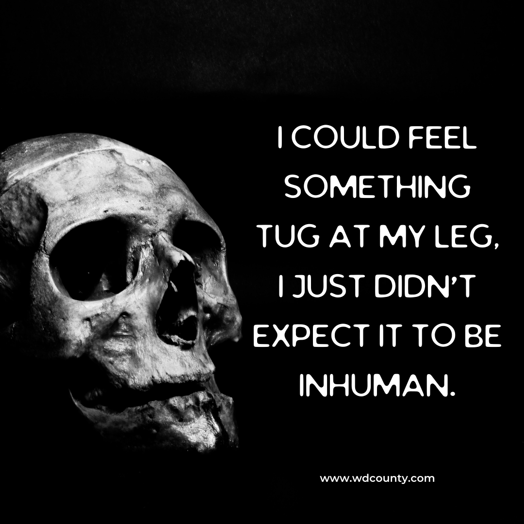wdcounty's tweet photo. Fear is just pure and natural...!
#horrorquotes #horrorfan #horrorfans #scary #spooky #instagood #instalike #horror #horrormovies https://t.co/f5jeI3q1sc