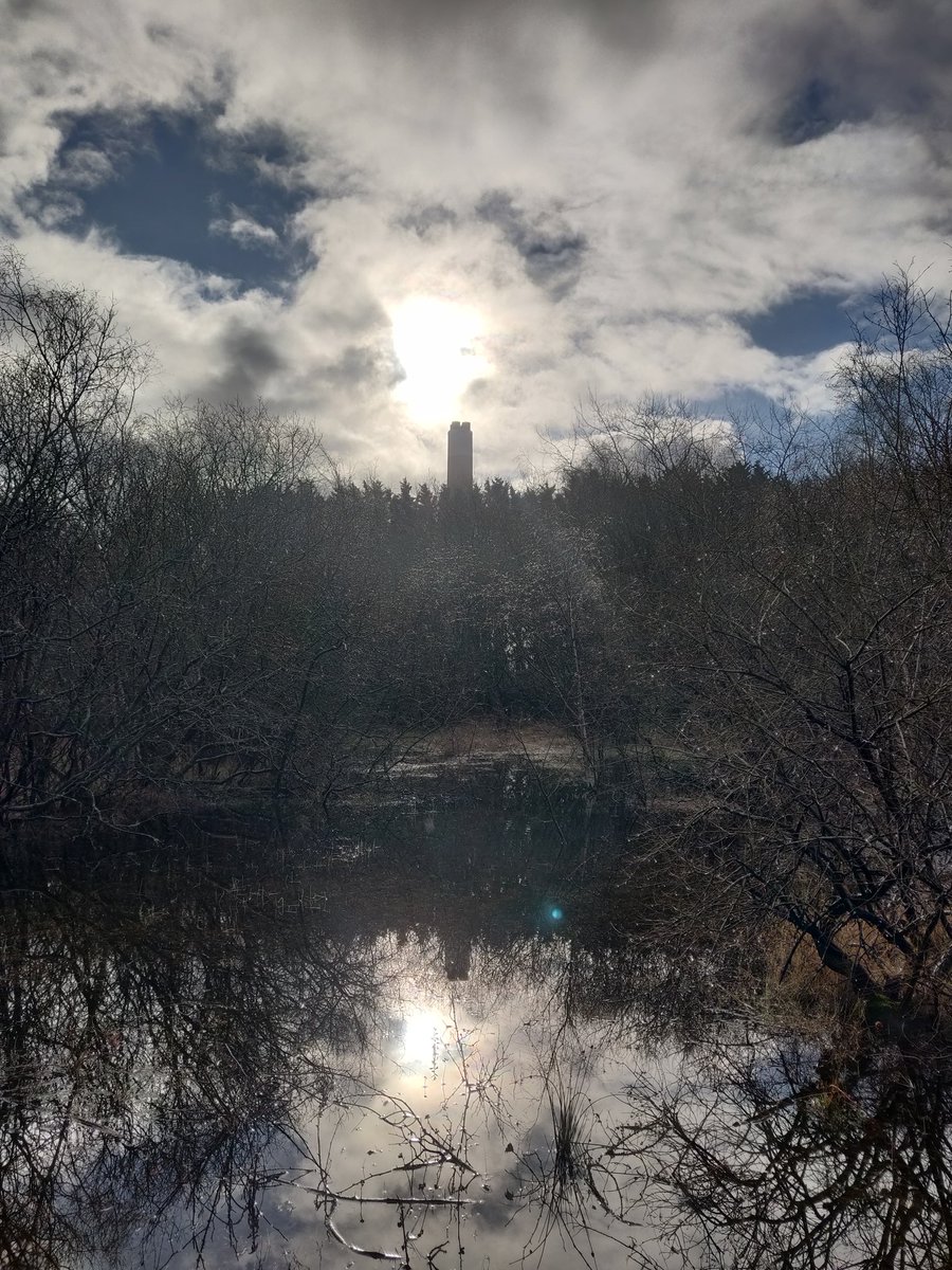 Clairefifi's tweet photo. All in all, a #JollyGoodDay. Mostly #sunshine for #walkies and also got busy with the #JetWasher . Pics of the flooded area which we happily waded through P.s I saw a #Peregrine who posed obligingly on a pole. https://t.co/ouQ3ESXe3W