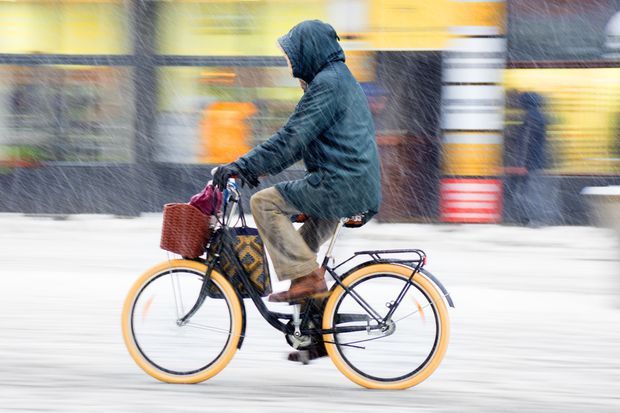skunklock's tweet photo. Don’t let gray days and icy roads leave you trapped inside. Here, a guide to all the gear you need—from tires to fenders to lights—to winterize your bike.
#Cyclinglife #Wintercycling
https://t.co/an1p6X8rhR https://t.co/dW2vxZi4FA