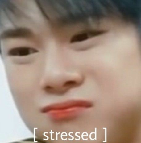 teamberputar's tweet photo. @svnitzys Mink shihawt tapiw mink bowink https://t.co/7K6FoGrS50