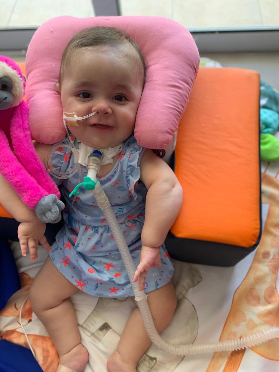 Emmita y sus ejercicios 🏋️‍♀️

Ella no puede sentarse por sí sola, por lo que necesita siempre de un apoyo pero con amor, juegos, ejercicios y perseverancia, ella logró pasar del semi sentado a estar sentada. Tu donación la salva 🙏🏼

Mercado Pago: natali.torterola@outlook.com

#dona
