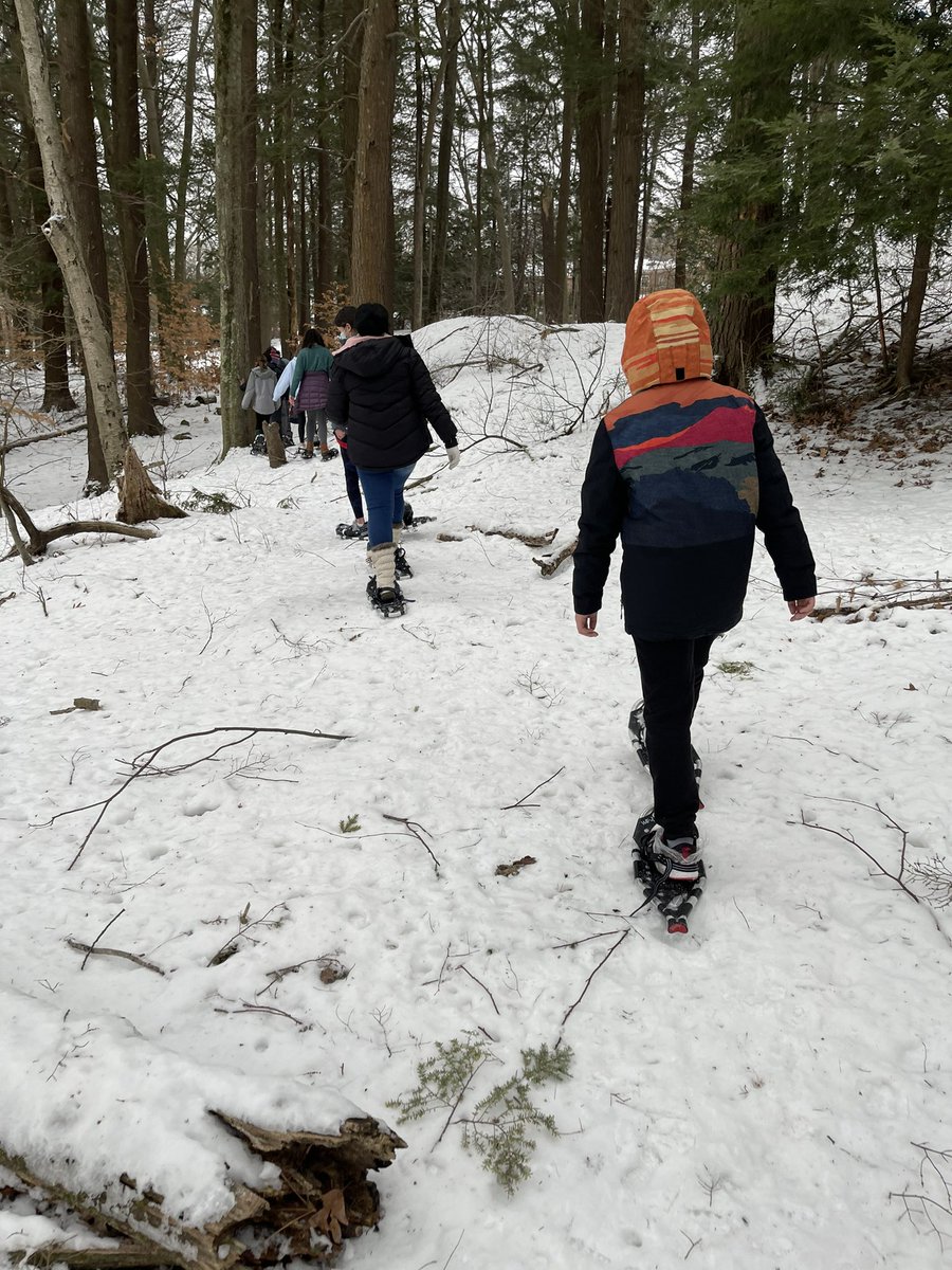 SNOW much fun today! Today we went snowshoeing in PE! Thank you <a href="/BrooklineEd/">Brookline Education</a> for funding this amazing opportunity for <a href="/BrooklinePublic/">The Public Schools of Brookline</a>  students! ❄️ <a href="/IadarolaBakerPE/">Mr. Iadarola</a> <a href="/King_PhysEd/">Mr. King</a>